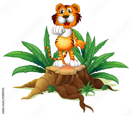 A trunk with a tiger at the top