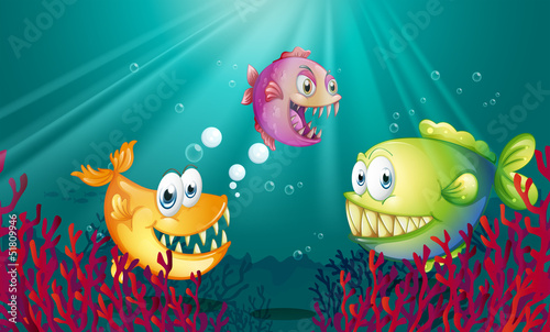 Piranhas under the sea with corals