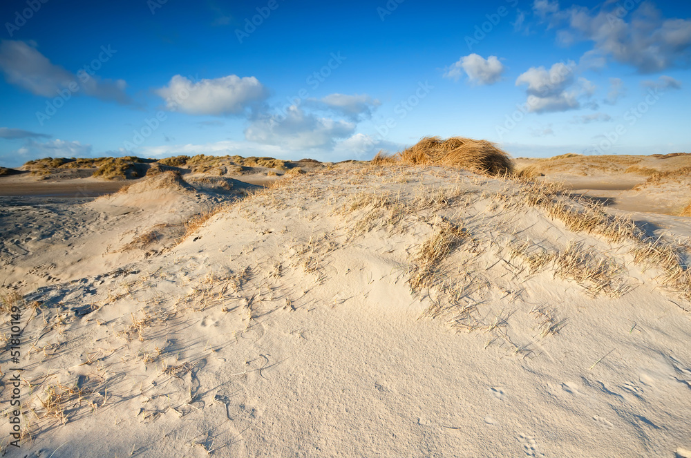 sand dunes by beach at North sea sand dunes by beach at North sea