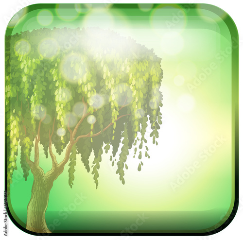 A tree inside a green square