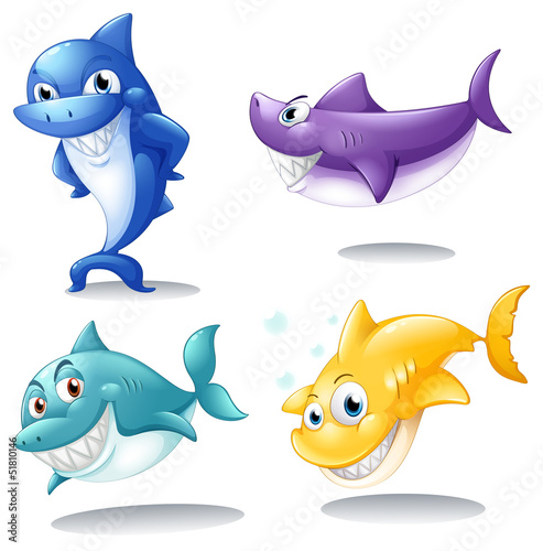 A group of sharks
