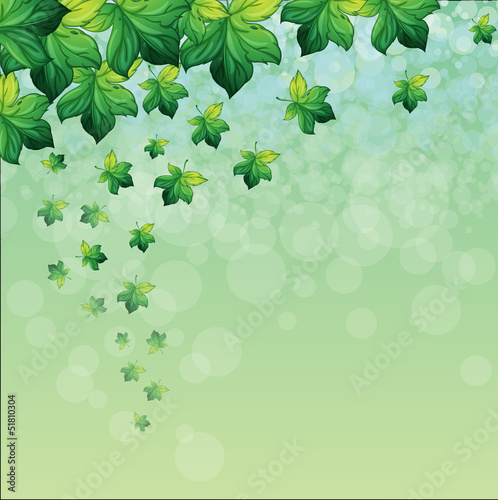 A special paper with green background