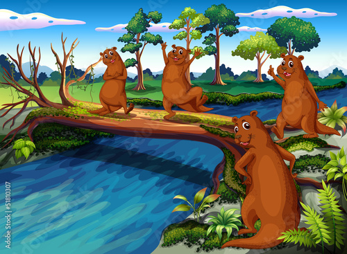 Four wild animals at the riverside