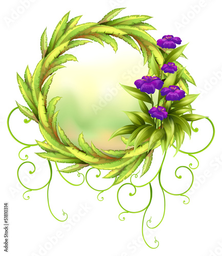 A round green border with violet flowers