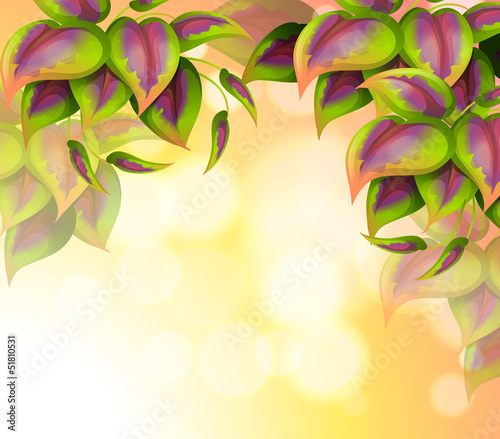 A special paper with heart-shaped leaves
