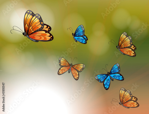 A special paper with orange and blue butterflies