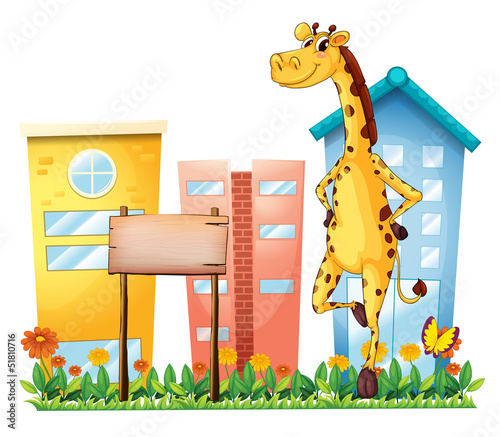 A giraffe standing beside an empty wooden signboard