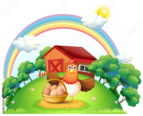A hen with a basket of egg at the farm