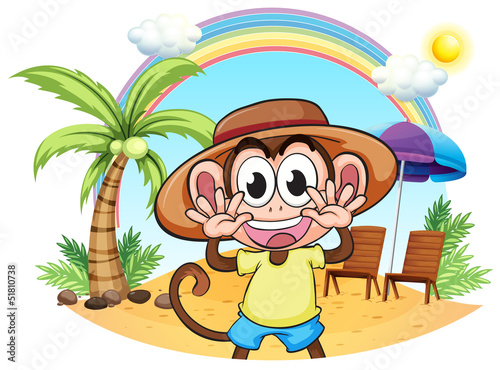 A monkey at the beach