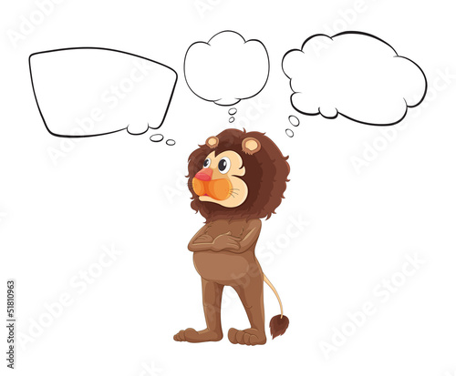 An old lion with empty callouts