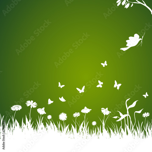 blumenwiese, dunkelgrün, gras, frühling, floral, taube, vektor