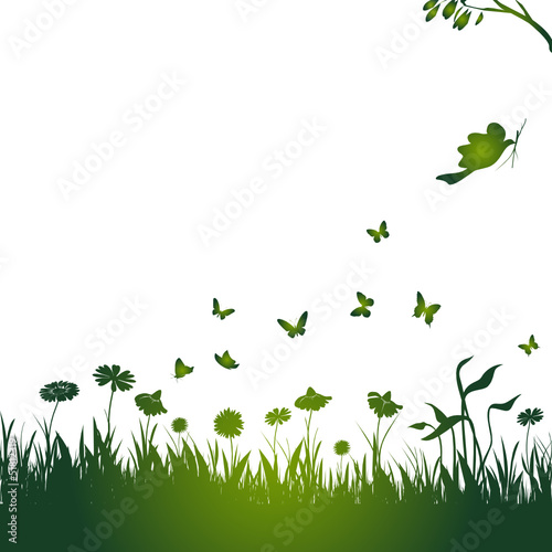 blumenwiese, blume, blüte, schmetterling, vogel, grün, vektor
