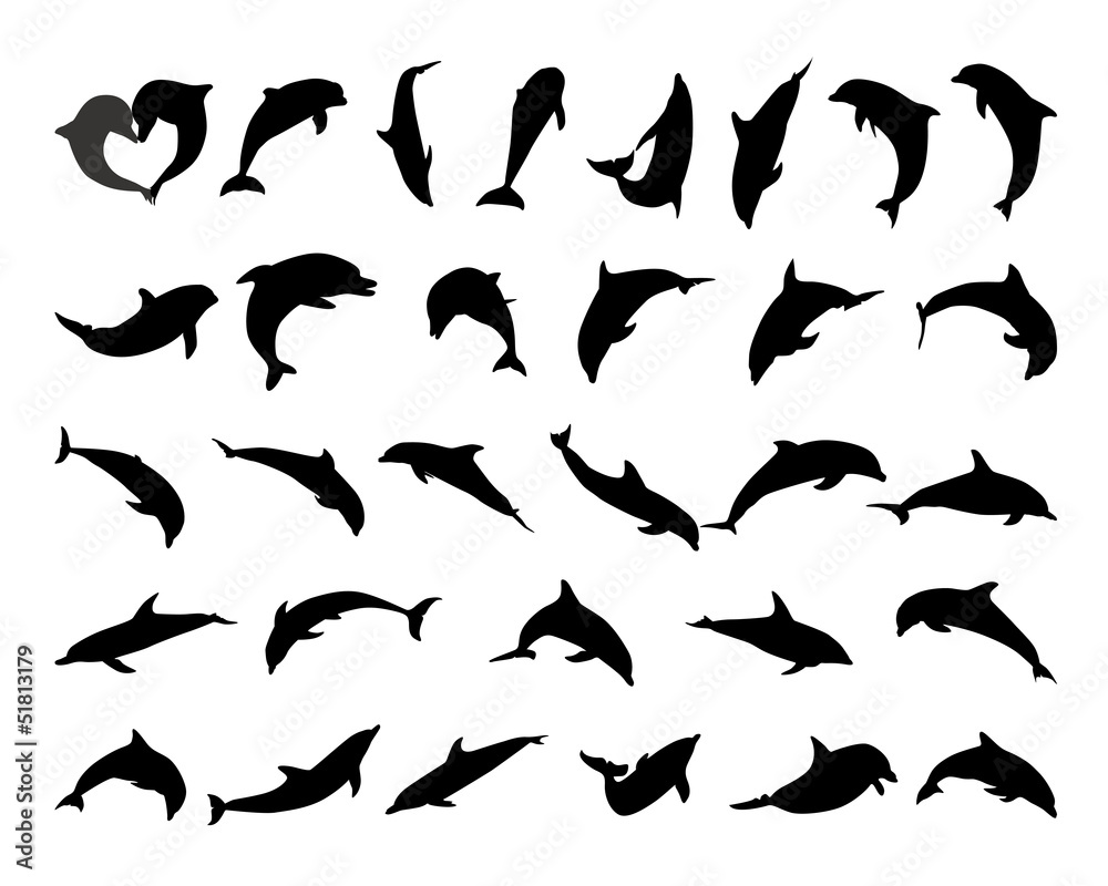 Obraz premium Dolphin Silhouettes
