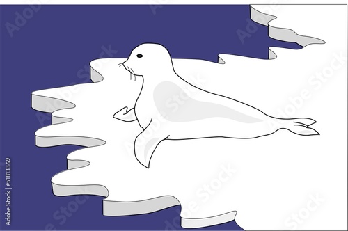 foca en el ártico