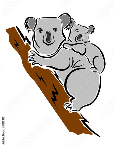 koala con su cria