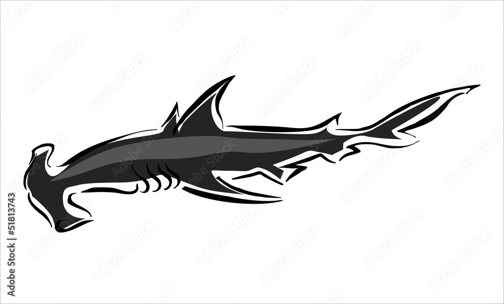 Obraz premium tiburón martillo