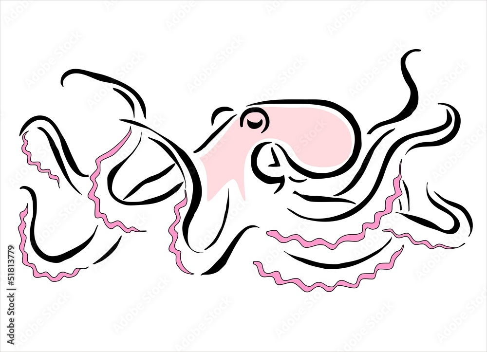 pulpo