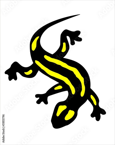 salamandra