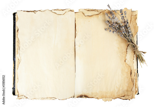 Fototapeta Naklejka Na Ścianę i Meble -  Open old book and lavander isolated on white