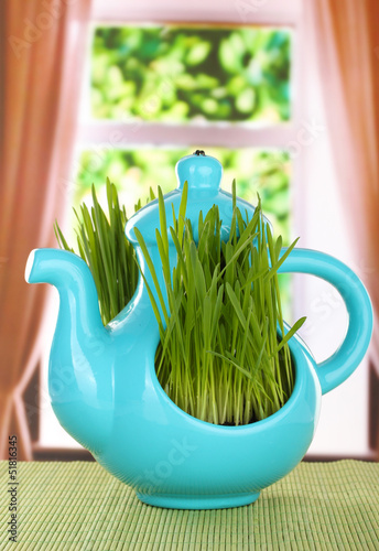 Green grass in decorative pot on window background