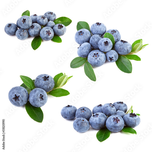 blueberry collage