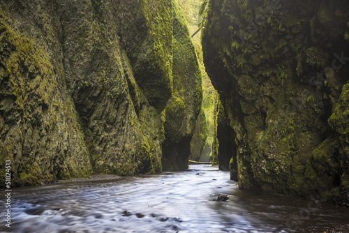Green mossy canyon
