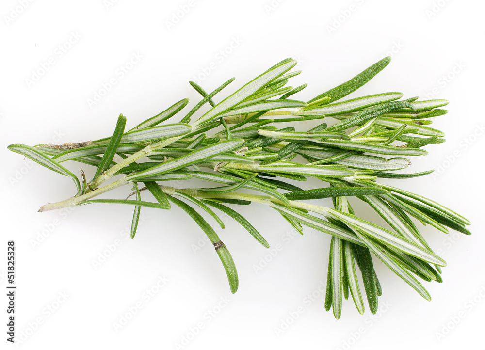 Fresh rosemary