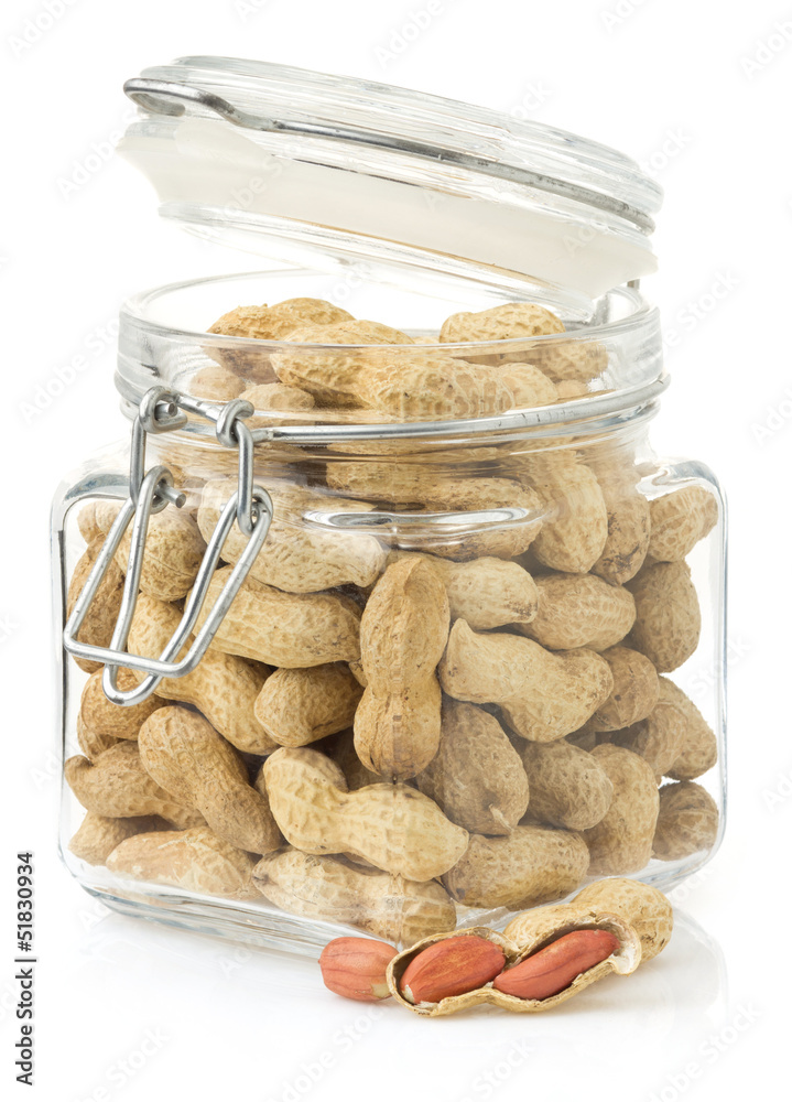 nuts peanuts on white background nuts peanuts on white background