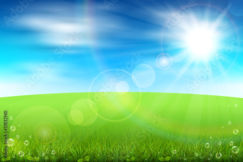 Summer field