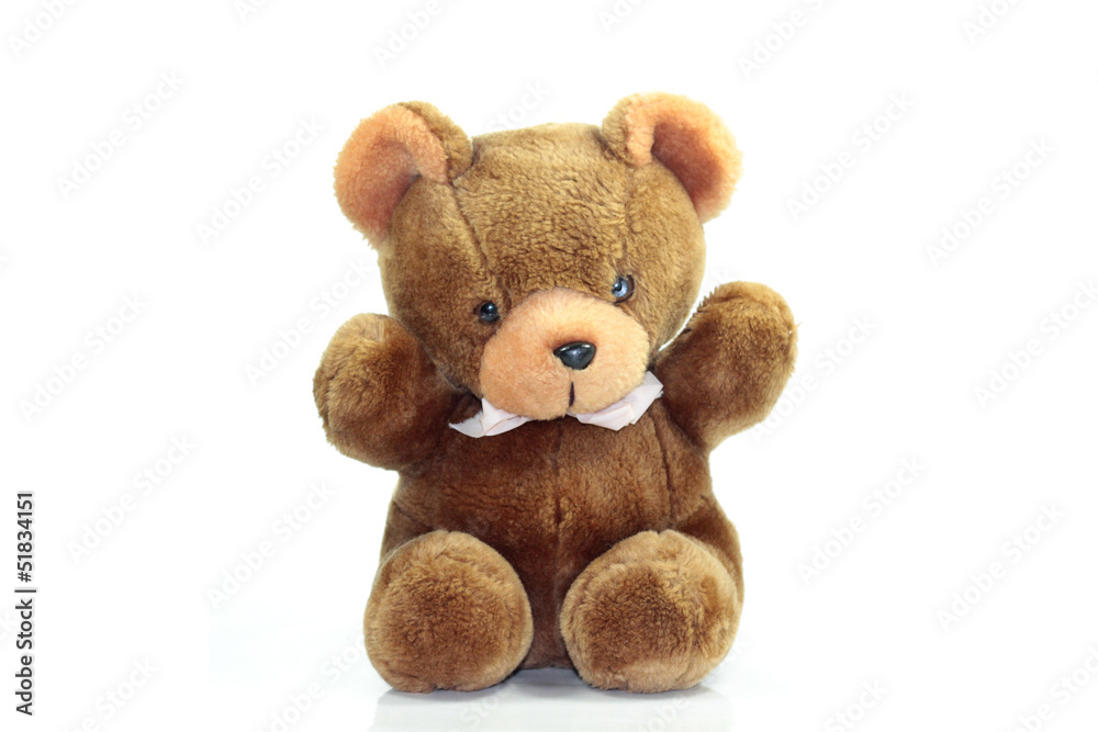 Obraz premium peluche