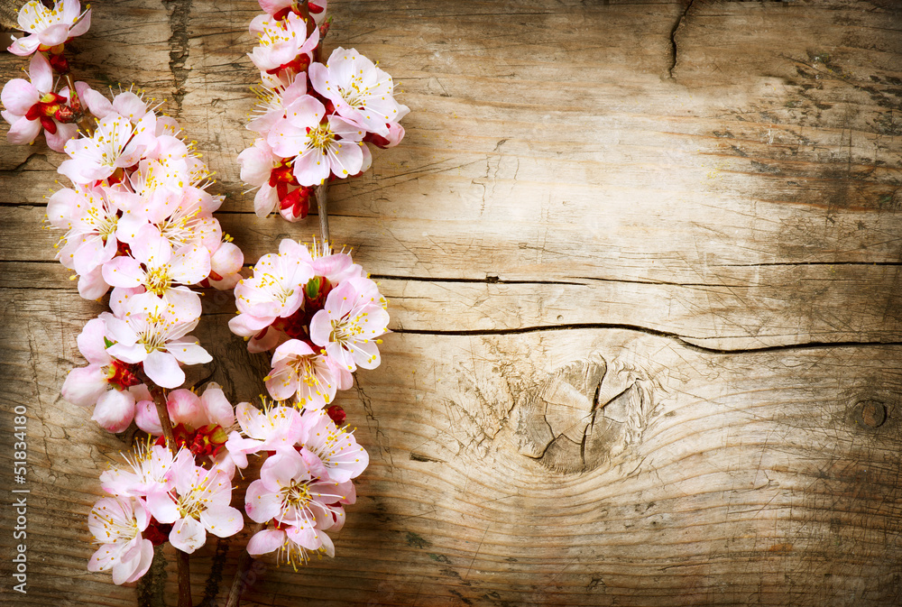 Spring Blossom over wood background - obrazy, fototapety, plakaty 