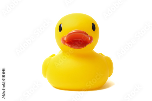 Obraz na plátně Rubber Duck