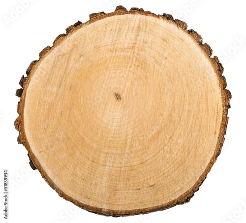 wooden cut texture