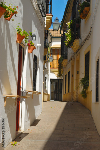 Traditional Cordoba Street, Andalusia, Spain