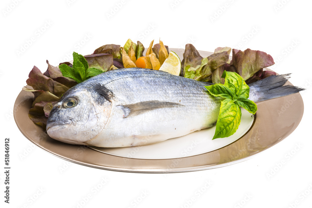 Fresh raw dorada Fresh raw dorada