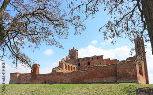 Castle in Radzyn Chelminski photo