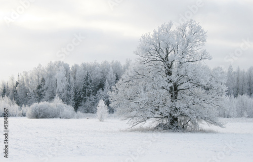 scenic winter landscape © Ingus Evertovskis