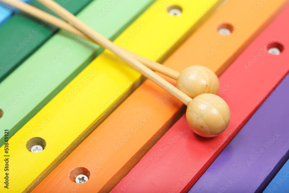 Fototapeta premium xylophone