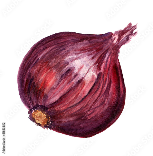 Red onion
