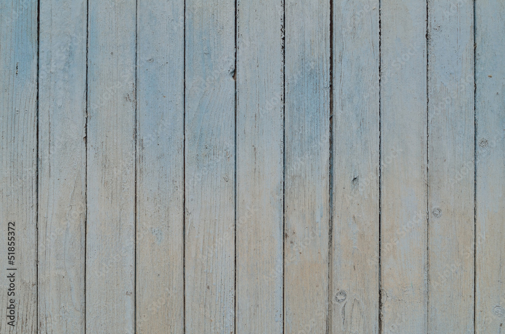 Obraz premium opierzenie