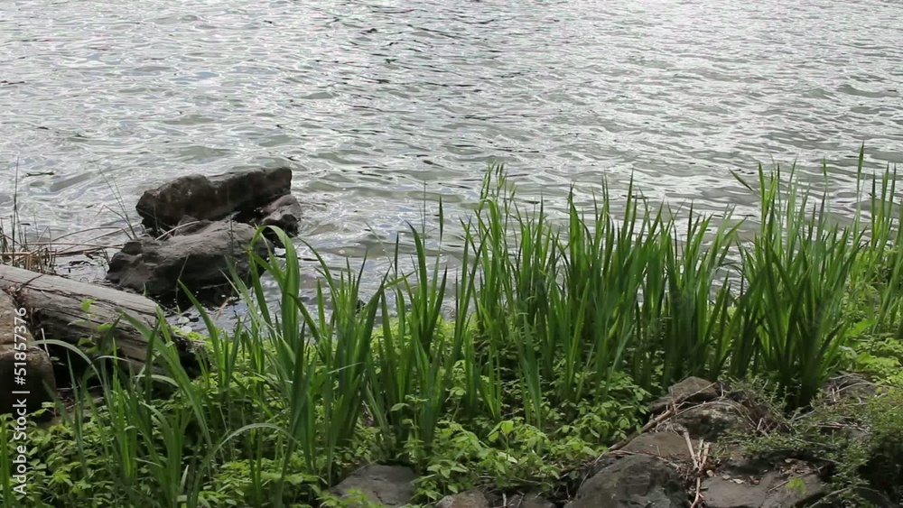 Lake Oswego in Oregon Moving Water in Spring 1080p