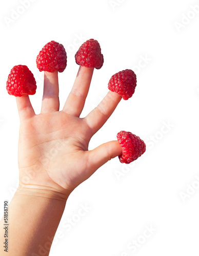 Close up of raspberries on children fingers isolated on white