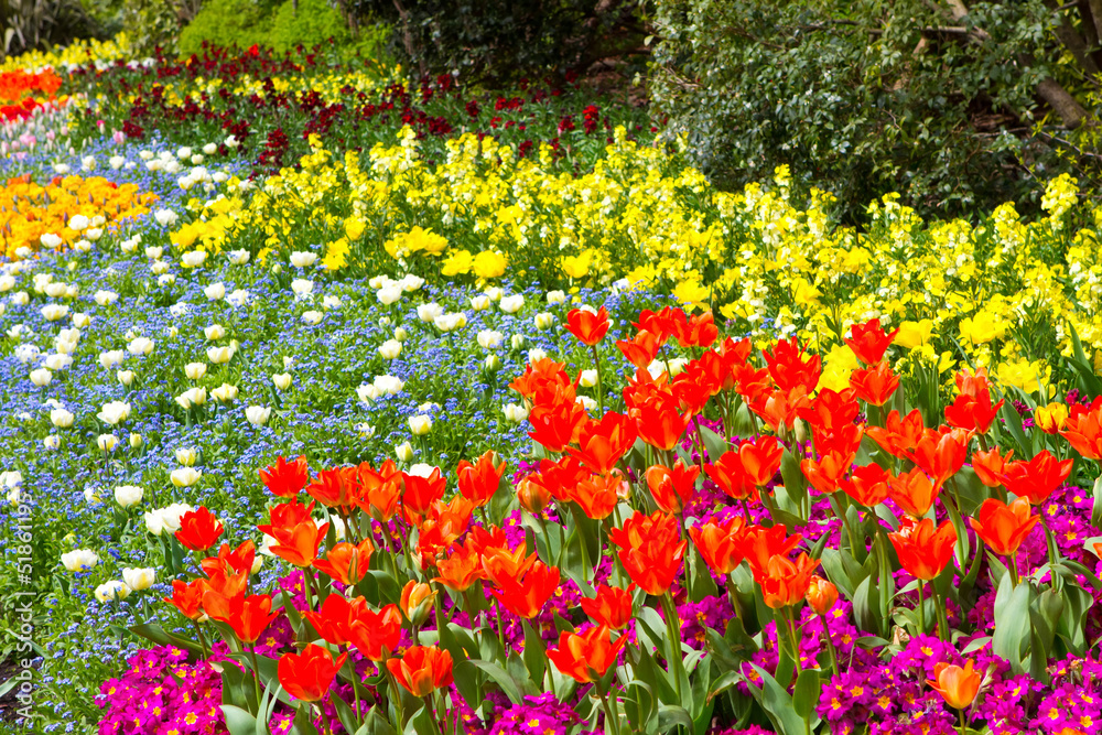 a variety of bright colourful spring flowers blooming in St Jame