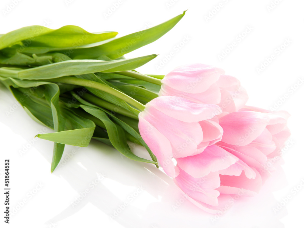 Beautiful bouquet of pink tulips, isolated on white Beautiful bouquet of pink tulips, isolated on white