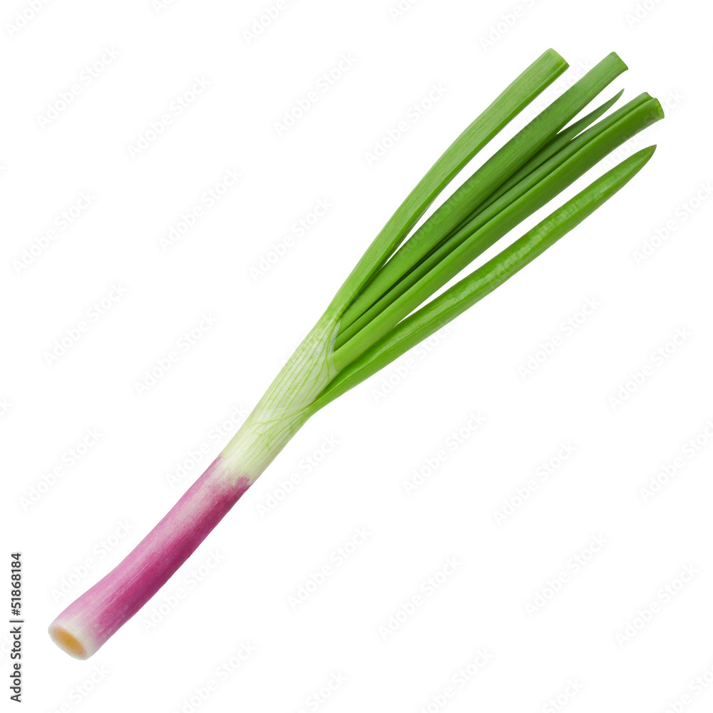 green onion on a white background green onion on a white background