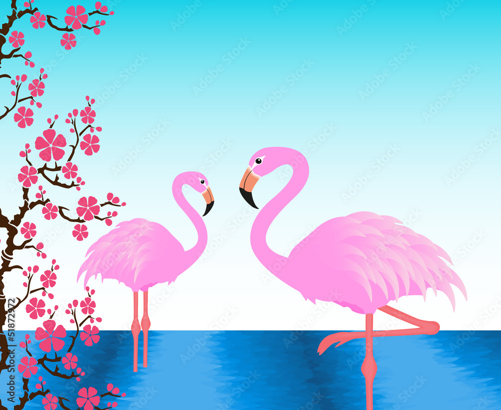 Fototapeta premium Two flamingos in the pond, postcard, invitation