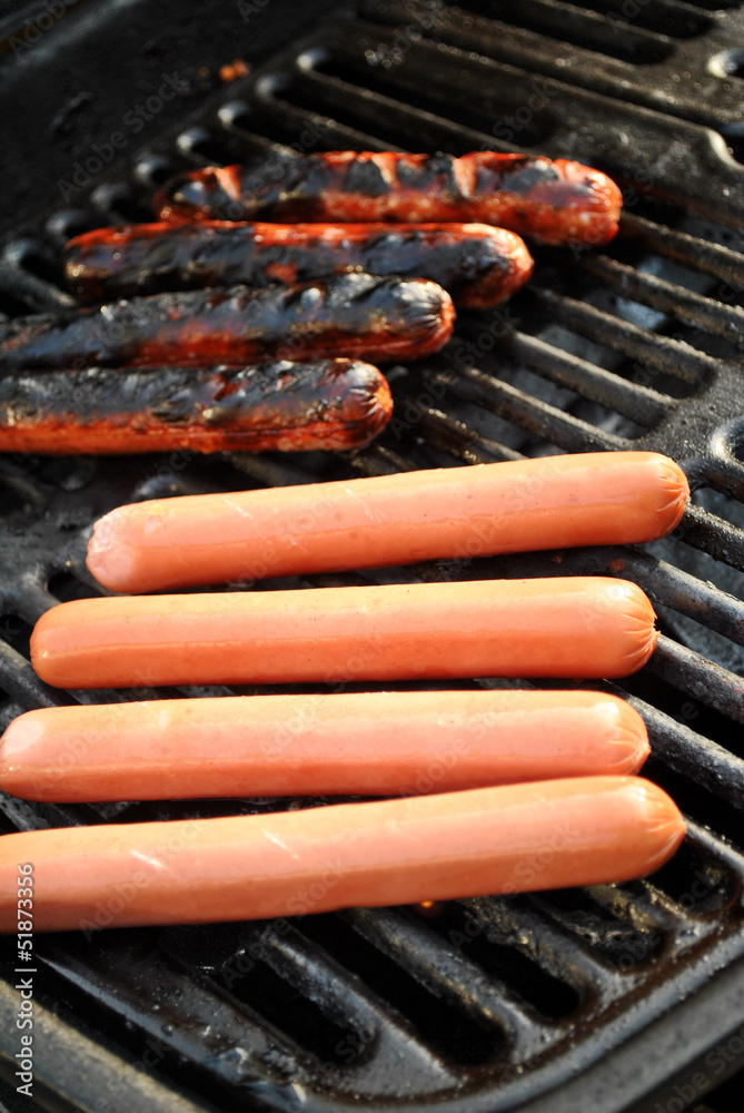 Cooked and Raw Hotdogs on a Picnic Grill Cooked and Raw Hotdogs on a Picnic Grill