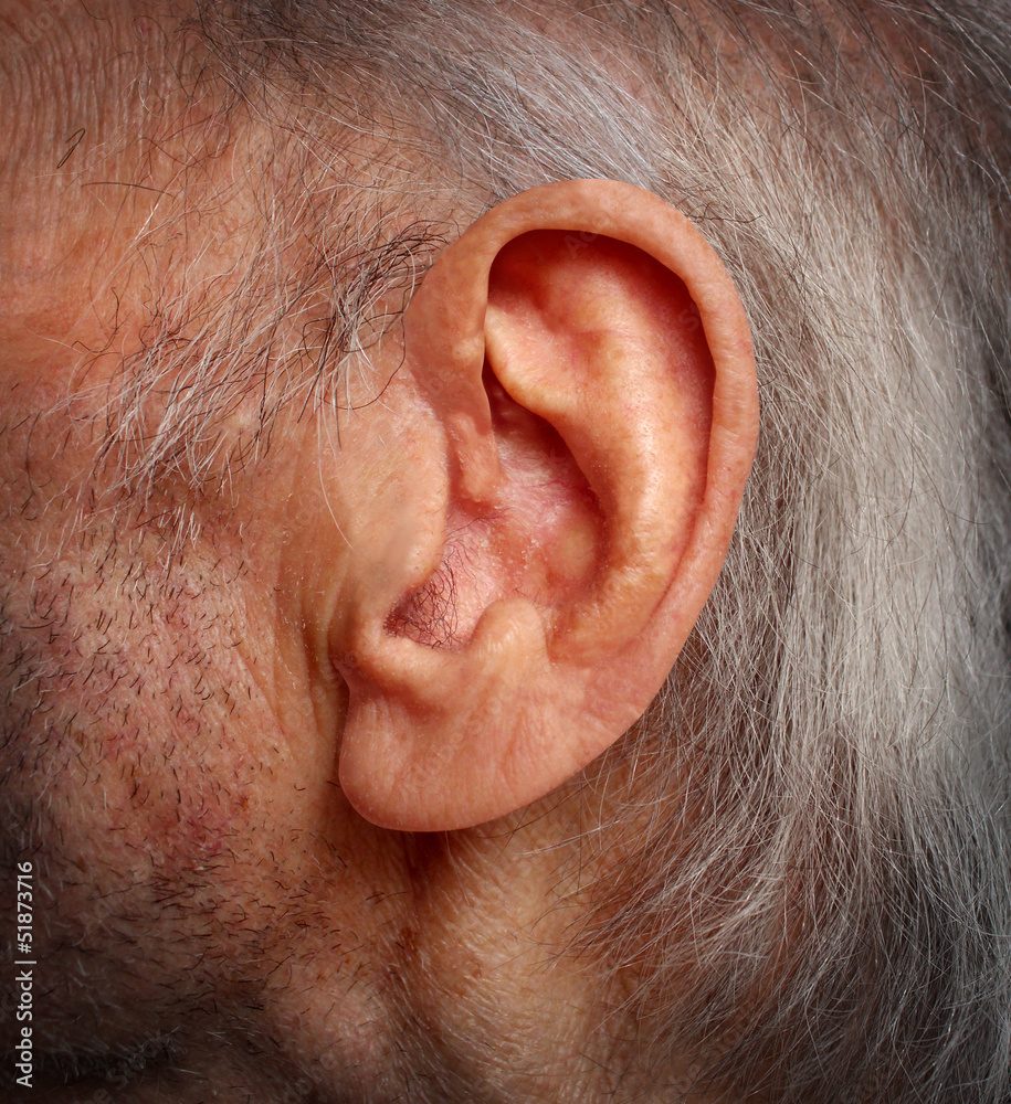 Aging Hearing Loss Aging Hearing Loss