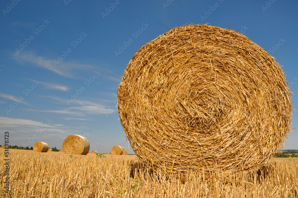 Straw bales on farmland with blue sky