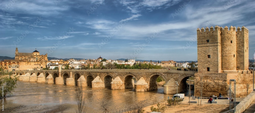 Fototapeta premium Ponte romana de Córdova